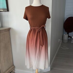Elegant Brown Ombre Dress